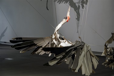 Anna-Wili Highfield: Mating Dance - Installation Image 3