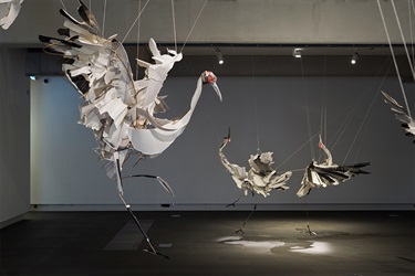 Anna-Wili Highfield: Mating Dance - Installation Image 5