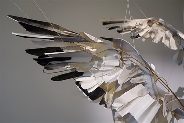 Anna-Wili Highfield: Mating Dance - Installation Image 6