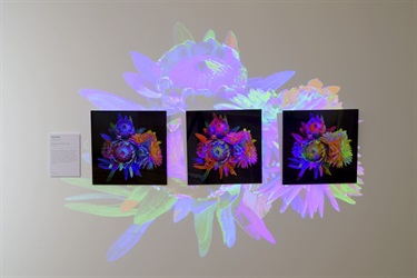 Regional Creative Showcase 2022