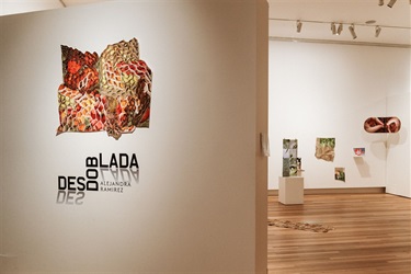 Glasshouse_Gallery_Feb_2025-1064.jpg