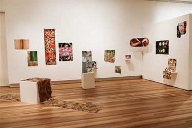 Glasshouse_Gallery_Feb_2025-1069.jpg