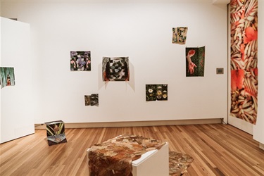 Glasshouse_Gallery_Feb_2025-1074.jpg