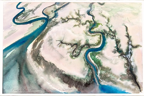 Anneke Silver - Crocodile Country